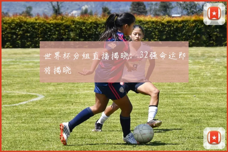 世界杯分组直播揭晓：32强命运即将揭晓