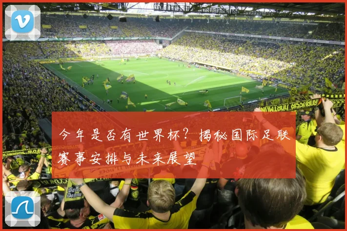 今年是否有世界杯？揭秘国际足联赛事安排与未来展望